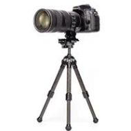 Adorama SunwayFoto T16C20N-T Tabletop Carbon Fiber Tripod with Ball Head T16C20N-T