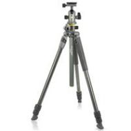 Adorama Vanguard Alta Pro 2+ 263CT Carbon Fiber Tripod Legs, Alta BH-100 Ball Head, Gray ALTA PRO 2+ 263CB 100