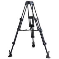 Adorama Acebil 2 Stage 100mm Aluminum Tripod with MS-5 Spreader and RF-3 Foot T1002M
