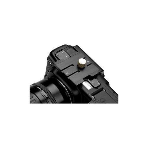  Adorama Clauss Camera Adapter Plate for RODEON piXplorer Panoramic Head 4260007480700