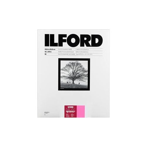  Adorama Ilford Multigrade IV RC Portfolio Paper, Glossy, 16x20, 10 Sheets 1171280