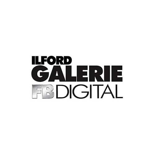  Adorama Ilford Galerie Digital Silver FB1K Photo Paper, 50x100 Roll, Glossy 1170838