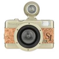 Adorama Lomography Fisheye No.2 35mm Film Format Camera, Brut, Gold 847