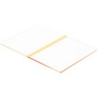 Lee Filters 100x150mm Pale Coral Stripe Filter COSTR-PALE - Adorama