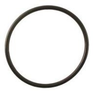 Ikelite O-Ring for Mini C-Lite, FL 0126 - Adorama