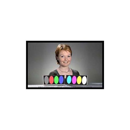  Adorama DSC Labs Tricia with Color Bars Standard CamAlign Chip Chart, 21.3x13 SW-TC