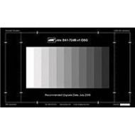 DSC Labs 72-dB 13-Step GrayScale (Combi Chart) CDX1-32W - Adorama