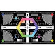 DSC Labs Fairburn 3-D Senior Maxi Chart, 24x14.7 SRW-F3D - Adorama