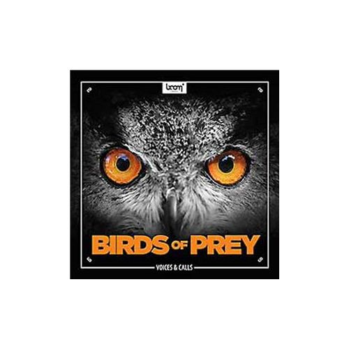  Adorama Sound Ideas Birds of Prey Sound Effects on DVD, 1 DVD SS-BIRDS-BOOM