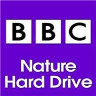 Adorama Sound Ideas BBC Nature Sound Effects Library on Hard Drive, Windows SS-BBCHD-NAT