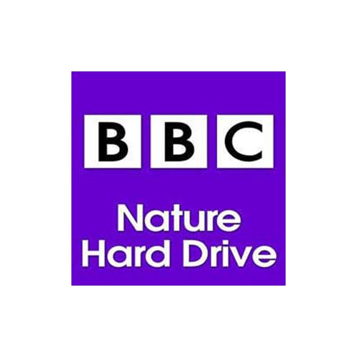  Adorama Sound Ideas BBC Nature Sound Effects Library on Hard Drive, Windows SS-BBCHD-NAT