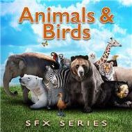 Adorama Sound Ideas Animals & Birds SFX 615 Individual Animal/Bird Sound Effects Library MM-ANIMA