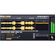 Adorama Acon Digital AudioLava 2 Audio Restoring&Recording Software,Electronic Download 1035-966