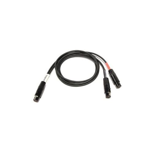  Adorama Cable Techniques 24 TA3F to 2x TA5F Interface Cable for Sound Devices CT-PT3LT2-24