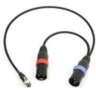 Adorama Remote Audio 18 Unbalanced Stereo Breakout Cable with 3.5mm RA TRS to 2x XLR3M CA1/82X3MS