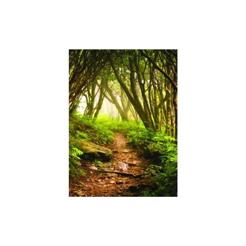  Click Props Forest Path Backdrop, Medium BW283 - Adorama