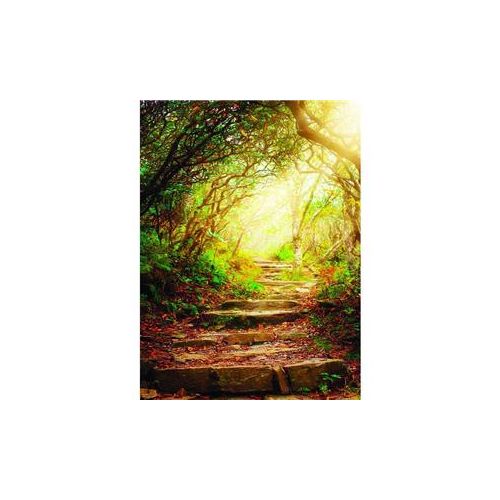  Click Props Forest Steps Backdrop, Medium BW284 - Adorama