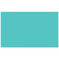 Adorama Seamless Background Paper, Aqua #165 16552 - Adorama