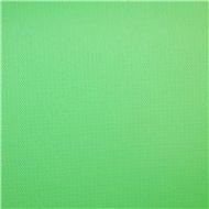 Adorama Savage 9x10ft Chroma Green Infinity Vinyl Background V460910