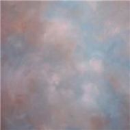 Studio Dynamics Adorama Background Canvas 7 x 8 Ft, Aspen 78SASPE