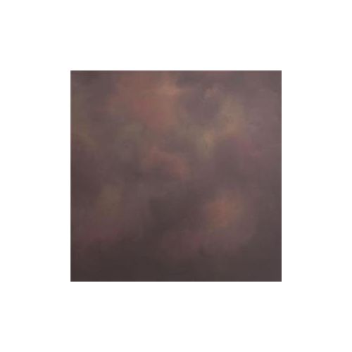  Adorama Studio Dynamics Background, Canvas 7 x 8 - Classic Rembrandt 78LREMB