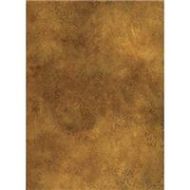 Adorama Savage Infinity 10x10ft Muslin Background Petra, Tan 4060101010