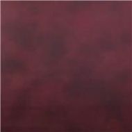 Adorama Savage 5x7 Hand-Painted Canvas Backdrop, Scarlet CP502-0507
