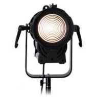 Fotodiox DY-200w Tungsten Fresnel LED Light Kit DY-200W-32 - Adorama