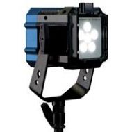 Adorama Nila Zaila Varsa Triple ENG Daylight Light Kit with Gold Mount NZVK3E-DG