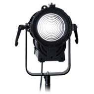 Fotodiox DY-200w Daylight Fresnel LED Light Kit DY-200-56 - Adorama