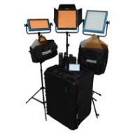 Adorama Dracast ENG Plus 4-Light Complete Kit, 2x LED1000 Plus & 1x LED500 Plus Daylight DRPL-ENG-D-CK