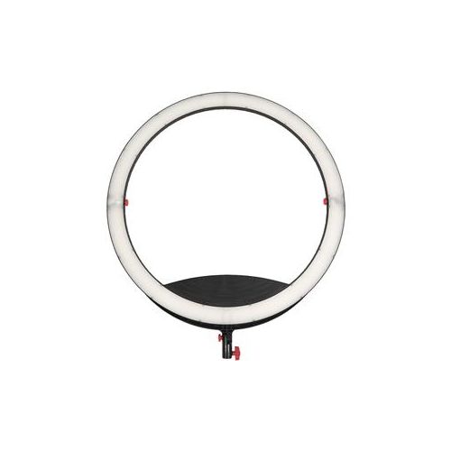  Adorama Came-TV C-80 80W Boltzen Cassiopeia Slim Folding Bi-Color Ring Light LED C-80