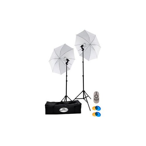  Adorama Savage 500W Daylight LED Studio Light Kit with Remote Control LED60K-R