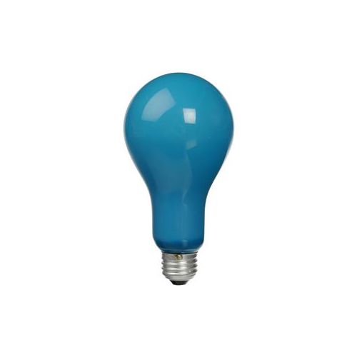  Lamp EBW Photoflood Lamp 500w 120v (Blue, 4800k) 1000264 - Adorama