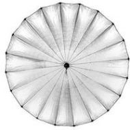 Adorama Profoto Giant Umbrella Style 6ft Reflector 180, Silver 100318