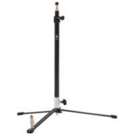 Studio Assets Backlight Stand with Extending Column SA1212 - Adorama