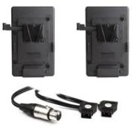 Adorama Hive Dual V-Mount Battery Plate Kit with Y Cable for Hornet 200-C LED Light HIVE-HLS2C-DBPK-VM