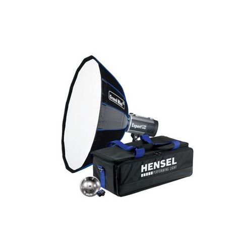  Hensel Expert D 250 Speed Monolight 5130002 - Adorama