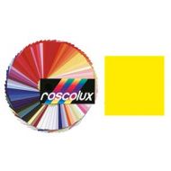 Adorama Rosco #5782 Fluorescent Paint, 1 Gallon, Yellow 150057820128