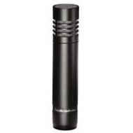 Audio-Technica AT2021 Cardioid Condenser Microphone AT2021 - Adorama