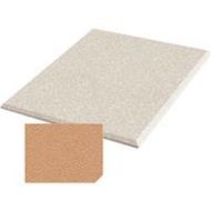 Adorama Auralex 2x48x48 Acoustical Absorption ProPanel, 4 Cloud Anchors, Mesa B244MES_C