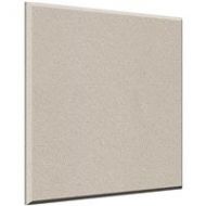 Adorama Auralex 1x24x24 Acoustical Absorption ProPanel with 2 AFN Impaling Clips, Birch B122BIR