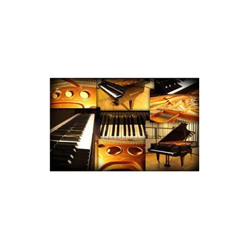  Best Service Galaxy II Vienna Grand Piano, Download 1133-26 - Adorama