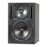 Adorama Behringer TRUTH B2030A High-Resolution Active 2-Way Studio Monitor, Single B2030A