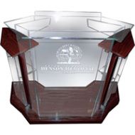 Adorama AmpliVox SN3555 Deluxe Contemporary Acrylic Lectern, Custom Tint with Mahogany SN355534