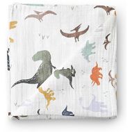 Aenne Baby Muslin Baby Swaddle Blanket Dinosaur Dino Print, Baby Shower Gifts, Luxurious, Soft and...