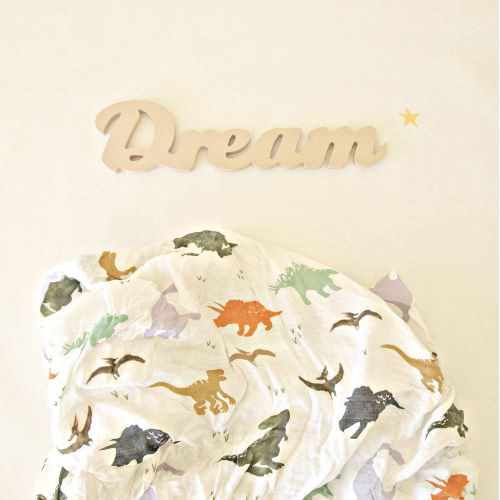  Aenne Baby Muslin Baby Swaddle Blanket Dinosaur Dino Print, Baby Shower Gifts, Luxurious, Soft and...