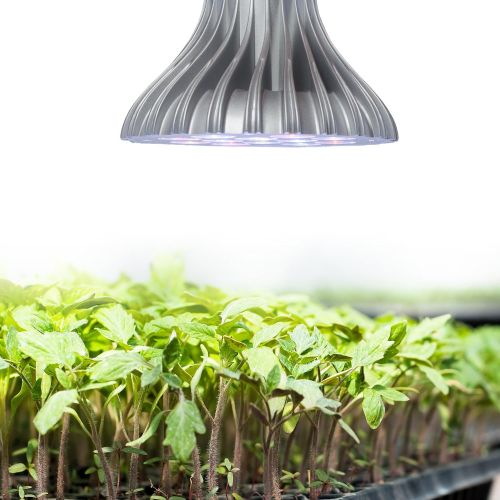  Visit the AeroGarden Store AeroGarden 20w LED Grow Light (1-Pack)