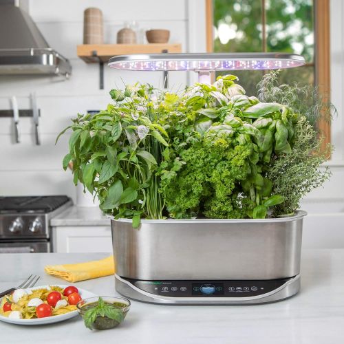  Visit the AeroGarden Store AeroGarden Gourmet Herb Seed Pod Kits