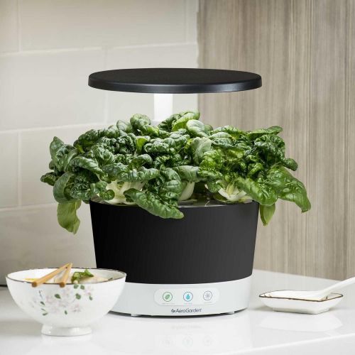  Visit the AeroGarden Store AeroGarden Harvest 360 Indoor Hydroponic Garden, Black